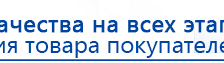 СКЭНАР-1-НТ (исполнение 01 VO) Скэнар Мастер купить в Кумертау, Аппараты Скэнар купить в Кумертау, Дэнас официальный сайт denasdoctor.ru