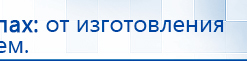 ДЭНАС - Аппликатор купить в Кумертау, Электроды Дэнас купить в Кумертау, Дэнас официальный сайт denasdoctor.ru